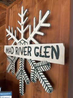 Mad River Glen Art
